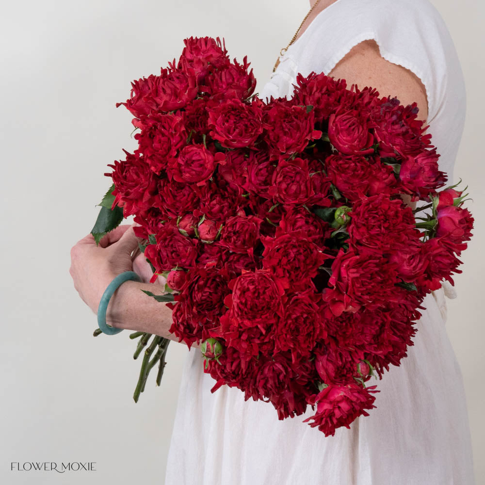 TreasureRedSprayRose 3