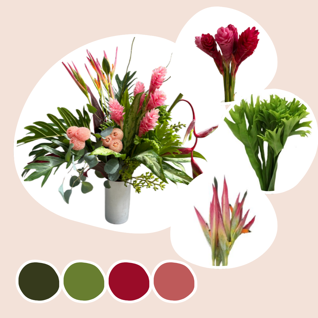 Tropical Mixed Box – Coral Vista
