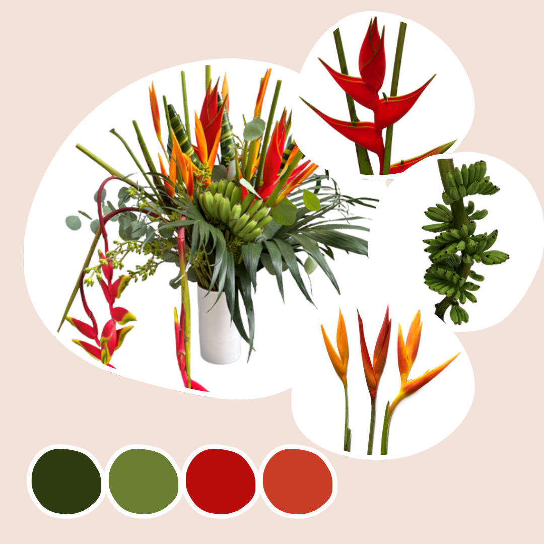 Tropical Mixed Box – Island Heat
