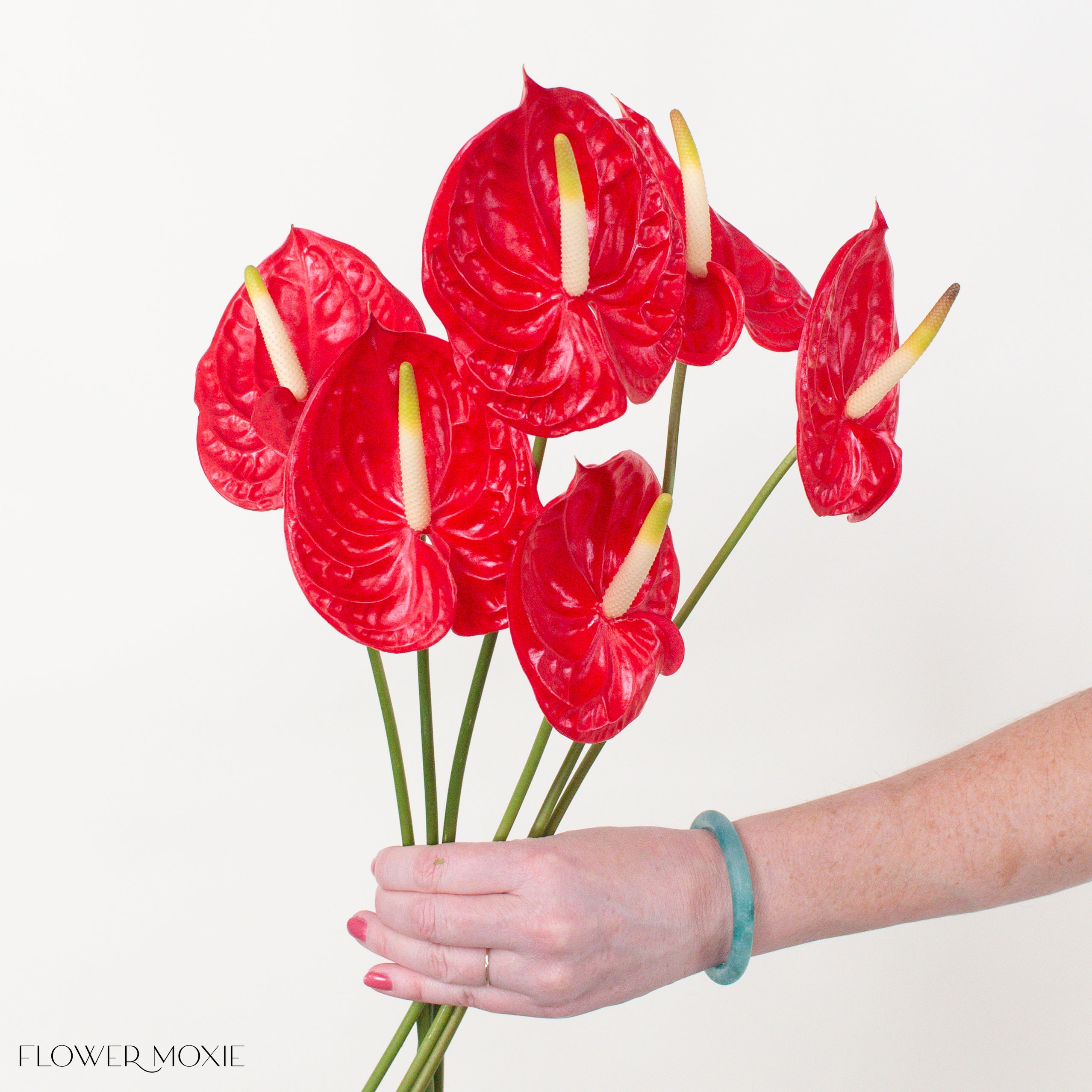 Tropicana_Red_Anthurium.jpg?v=