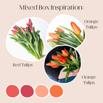 Build Your Own Tulip Box