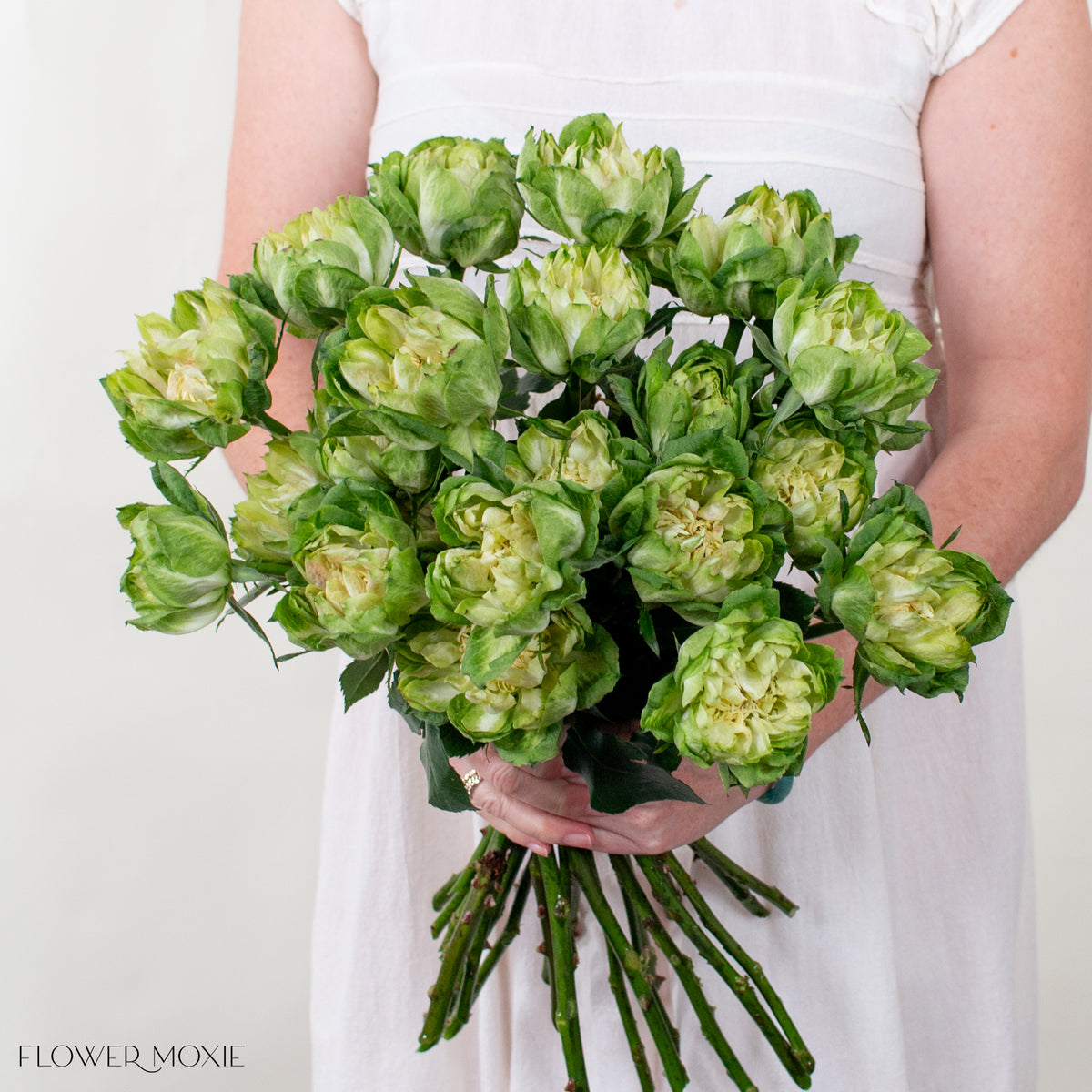 Green Packaged Roses Green Veggie Garden Rose | DIY Wedding Flowers – Flower Moxie