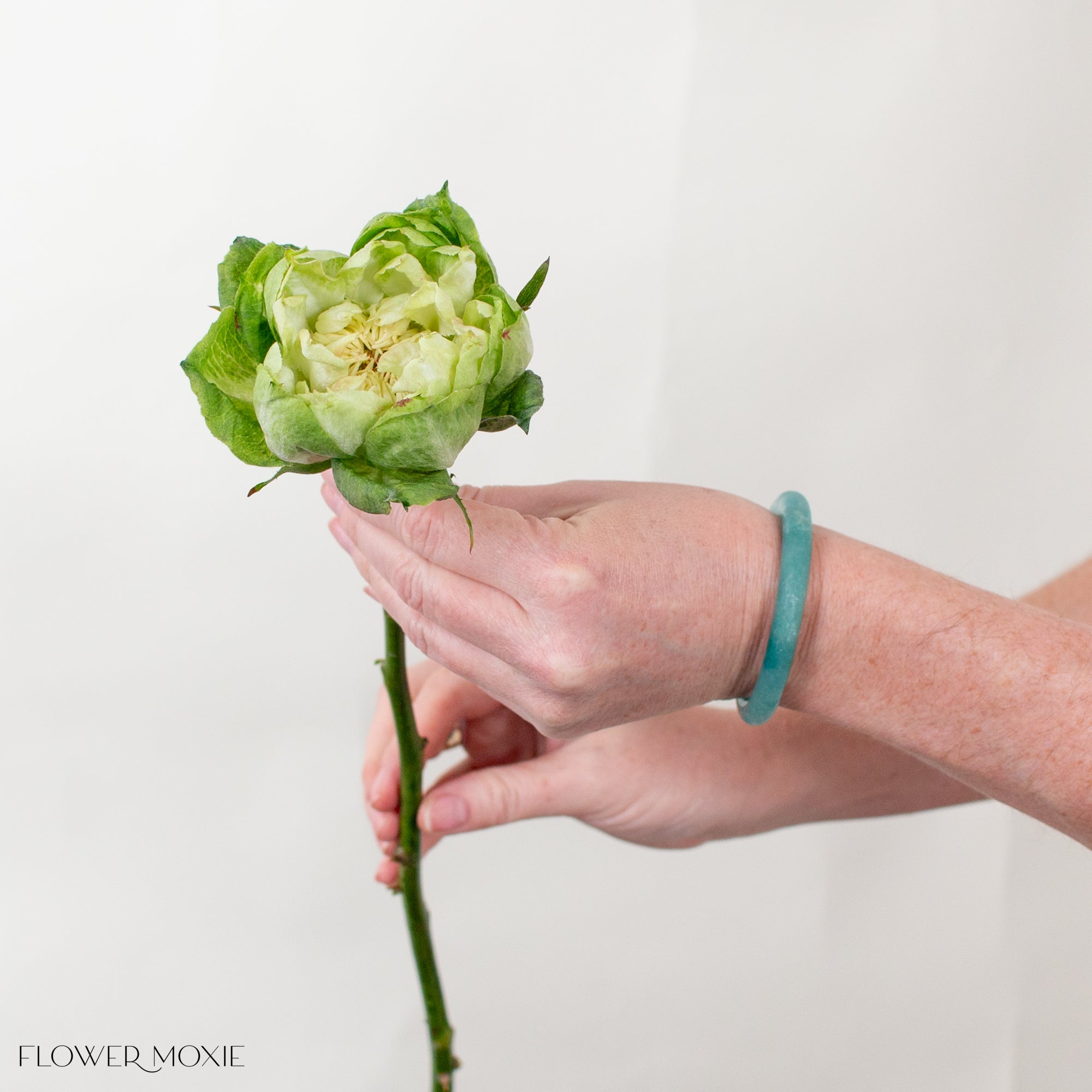 Green Veggie Garden Rose | DIY Wedding Flowers – Flower Moxie