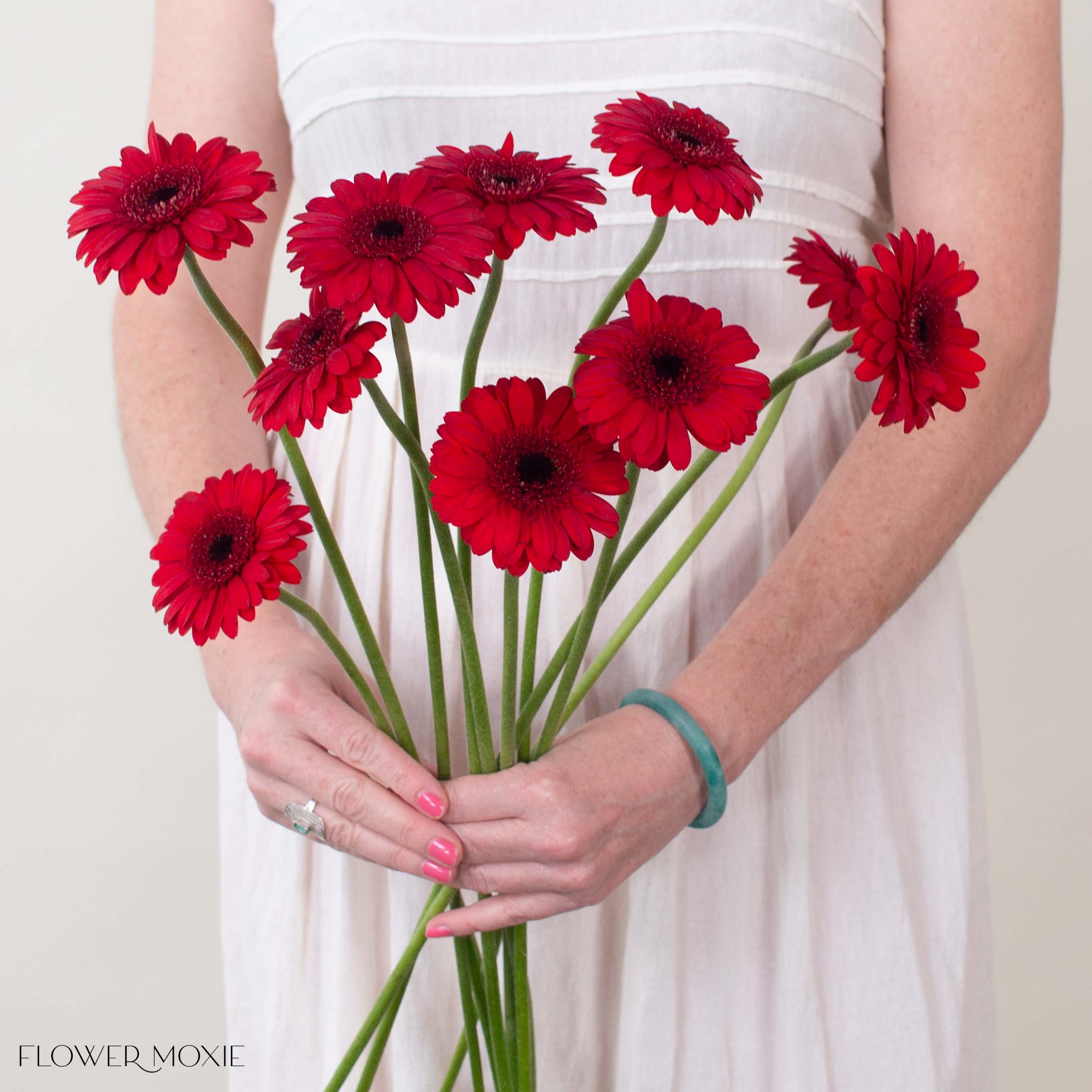 Velluto Red Mini Gerbera
