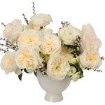 Soft Peach Vicky Garden Rose