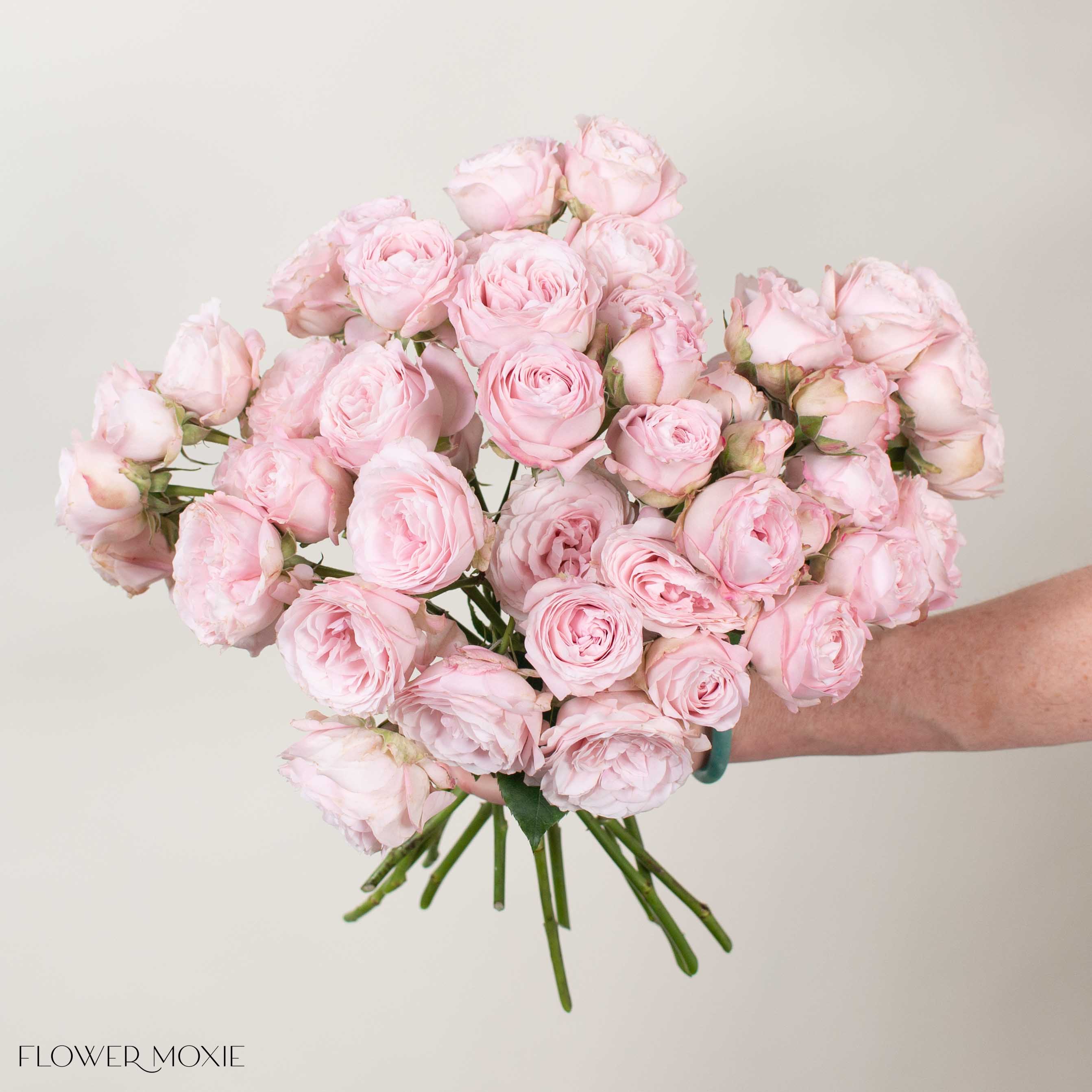 Light Pink Wedding Rosever Spray Garden Roses
