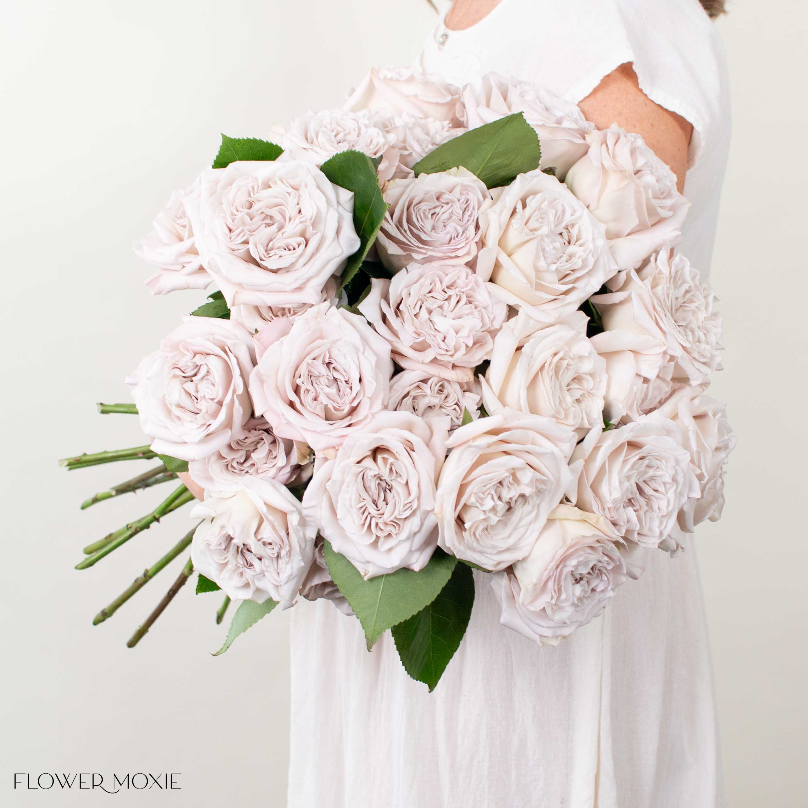 Bulk Grey Flowers Wedding Flowers – Flower Moxie