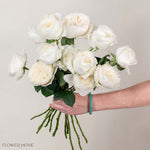 White Cloud Garden Rose
