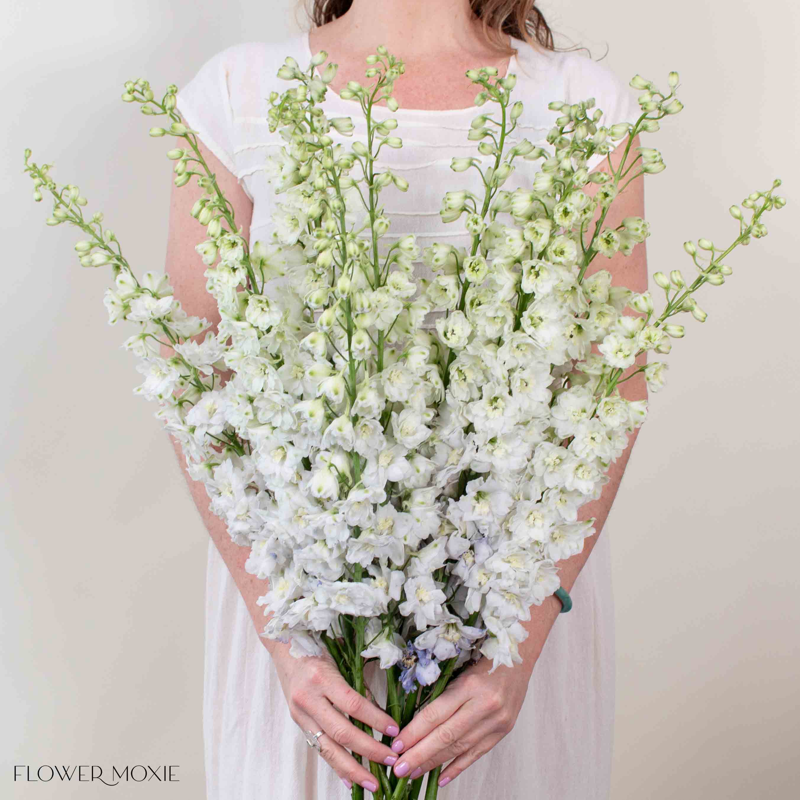 Giant White Hybrid Delphinium Flower