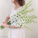 Giant White Hybrid Delphinium Flower