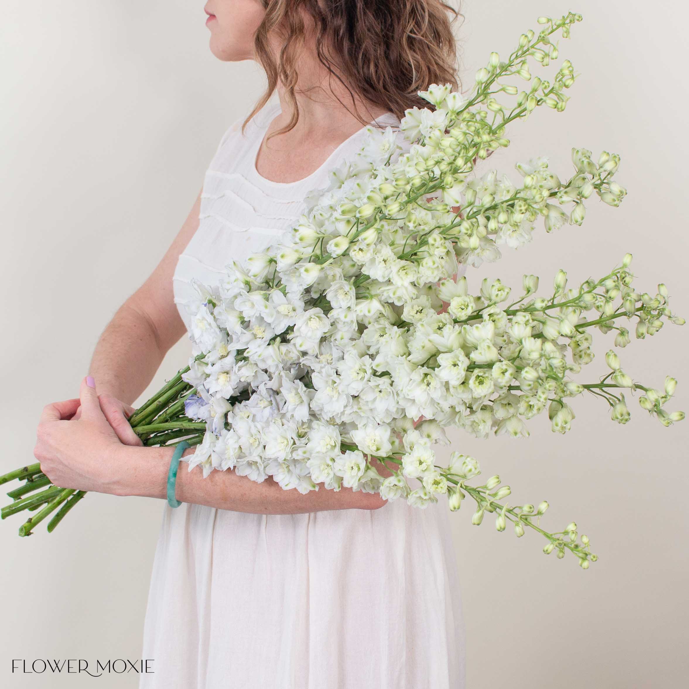 Giant White Hybrid Delphinium Flower