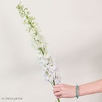 Giant White Hybrid Delphinium Flower