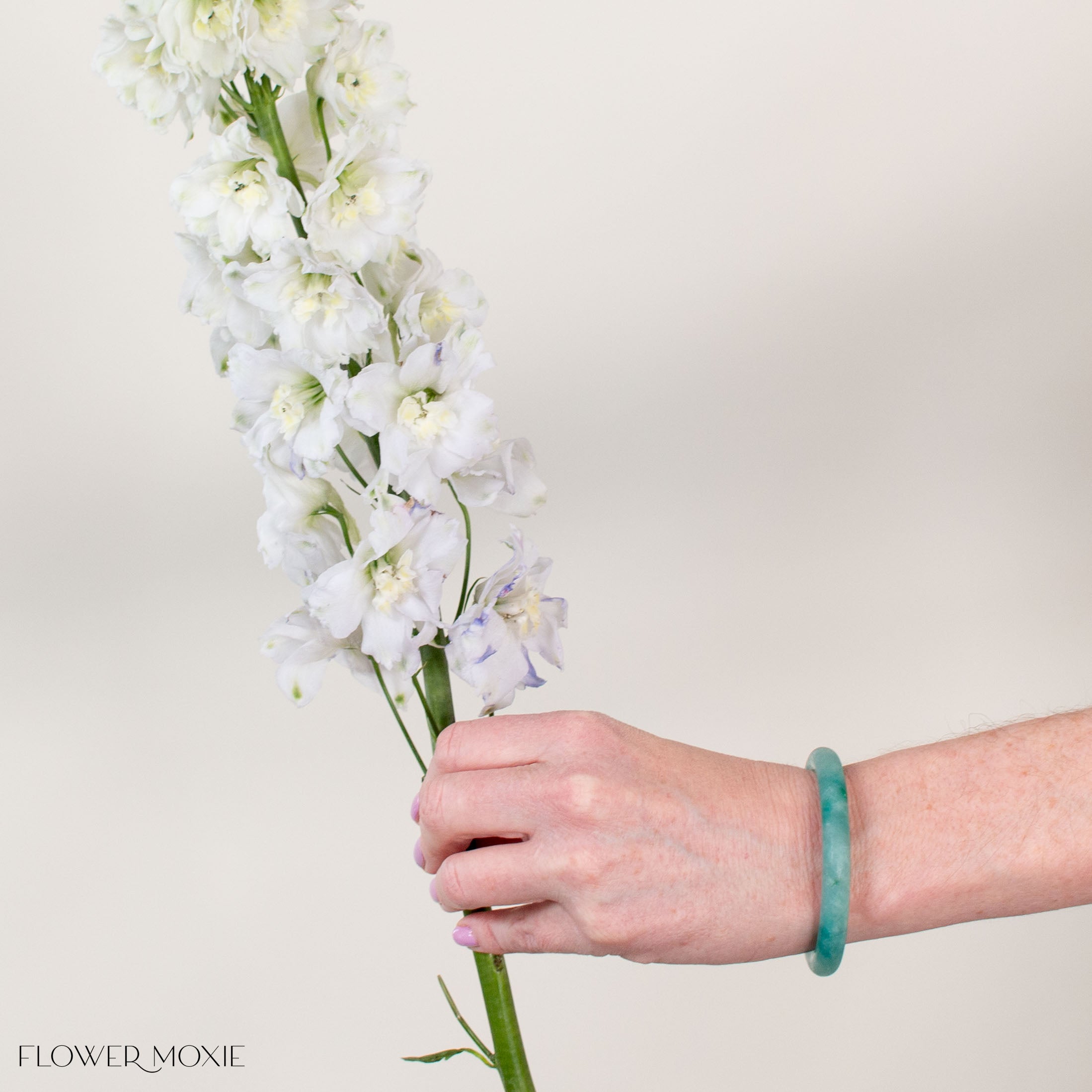 Giant White Hybrid Delphinium Flower