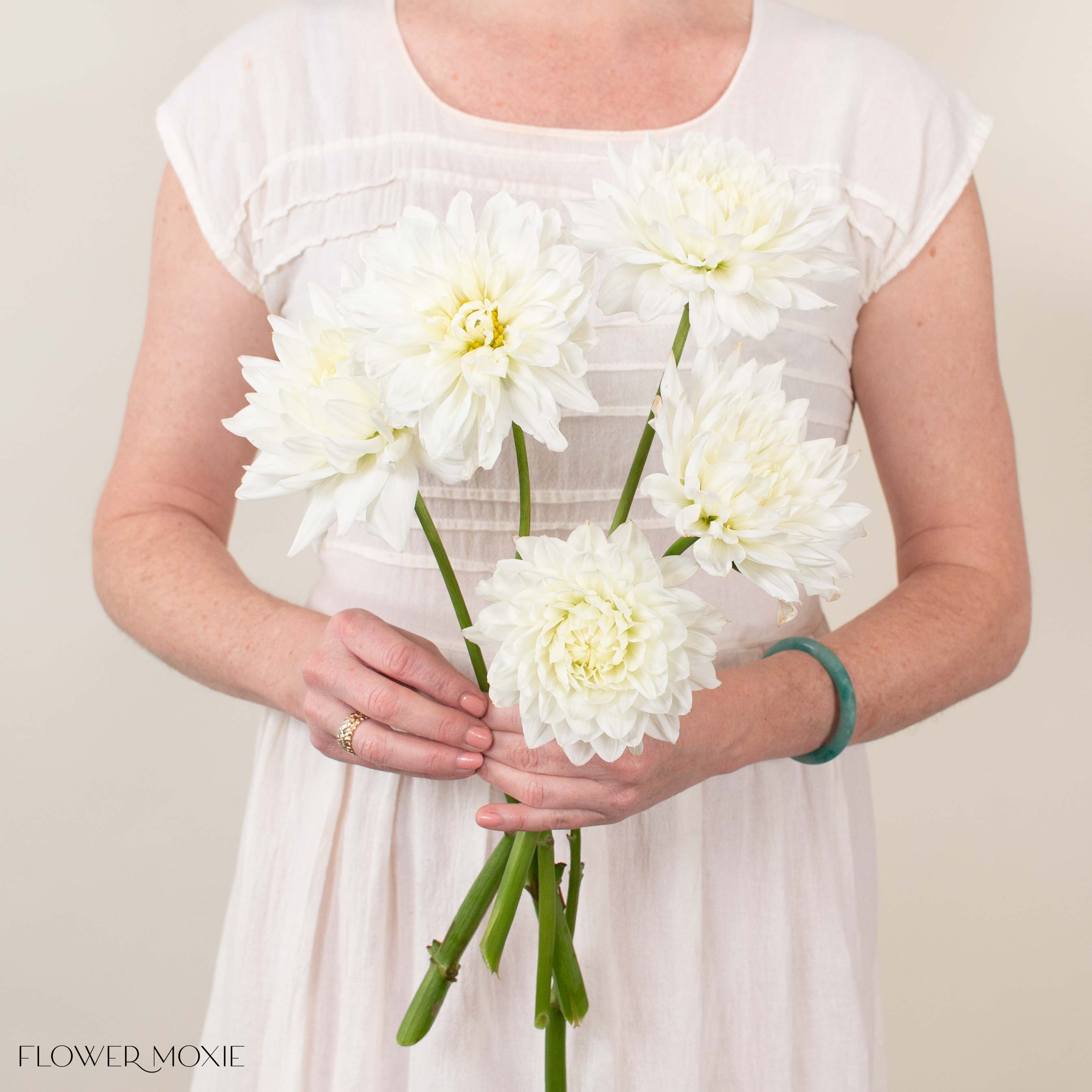 White Quartz Dahlia Flower