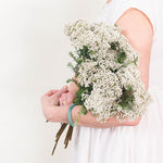 White Rice Flower