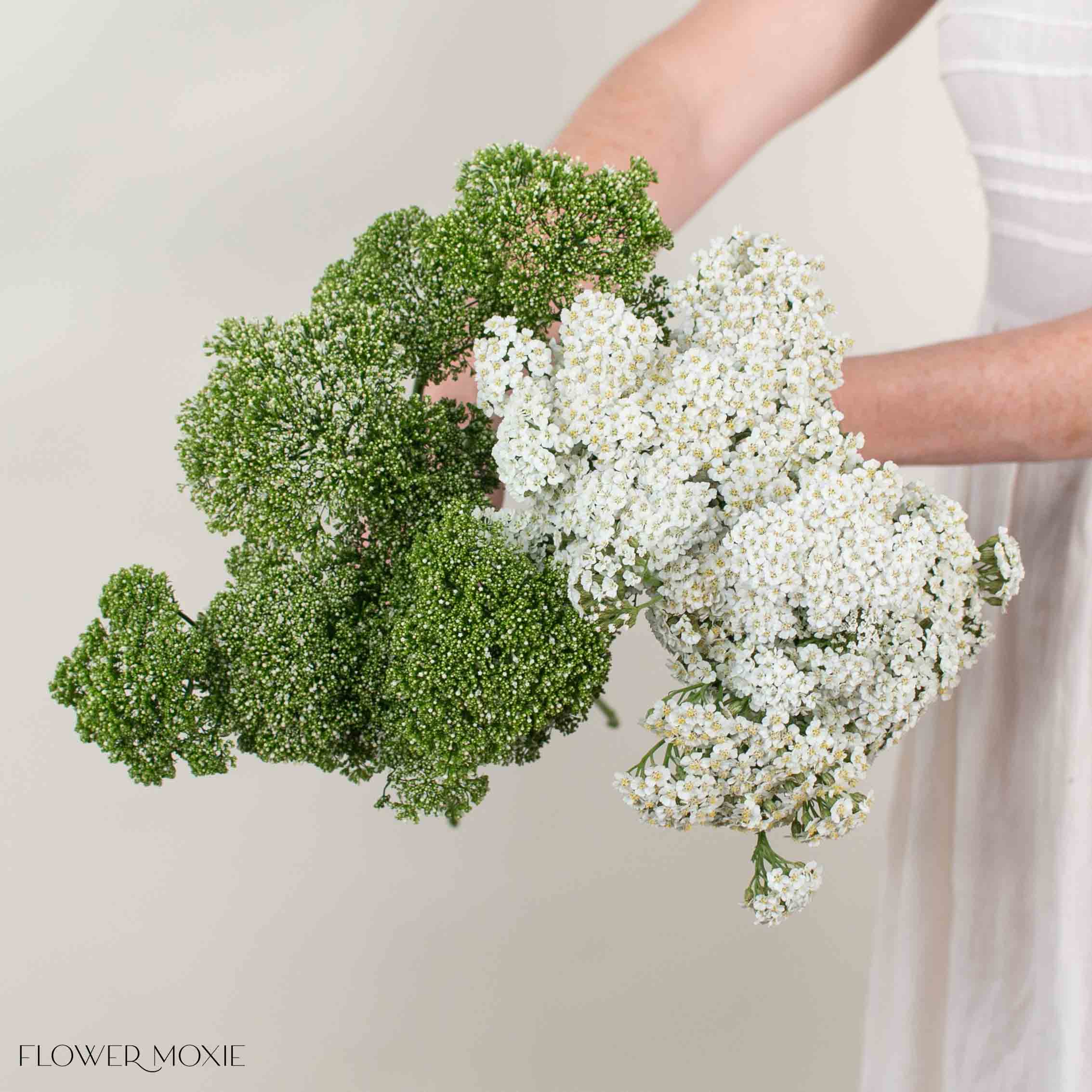 Filler Mixed Box – White Fields
