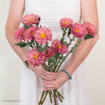 Golden Pink Cremone Flower