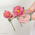 Golden Pink Cremone Flower