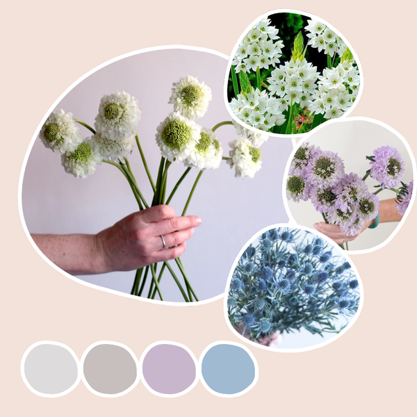 Wildflower Mixed Box – Textured Grace | Flower Moxie Bulk Flowers