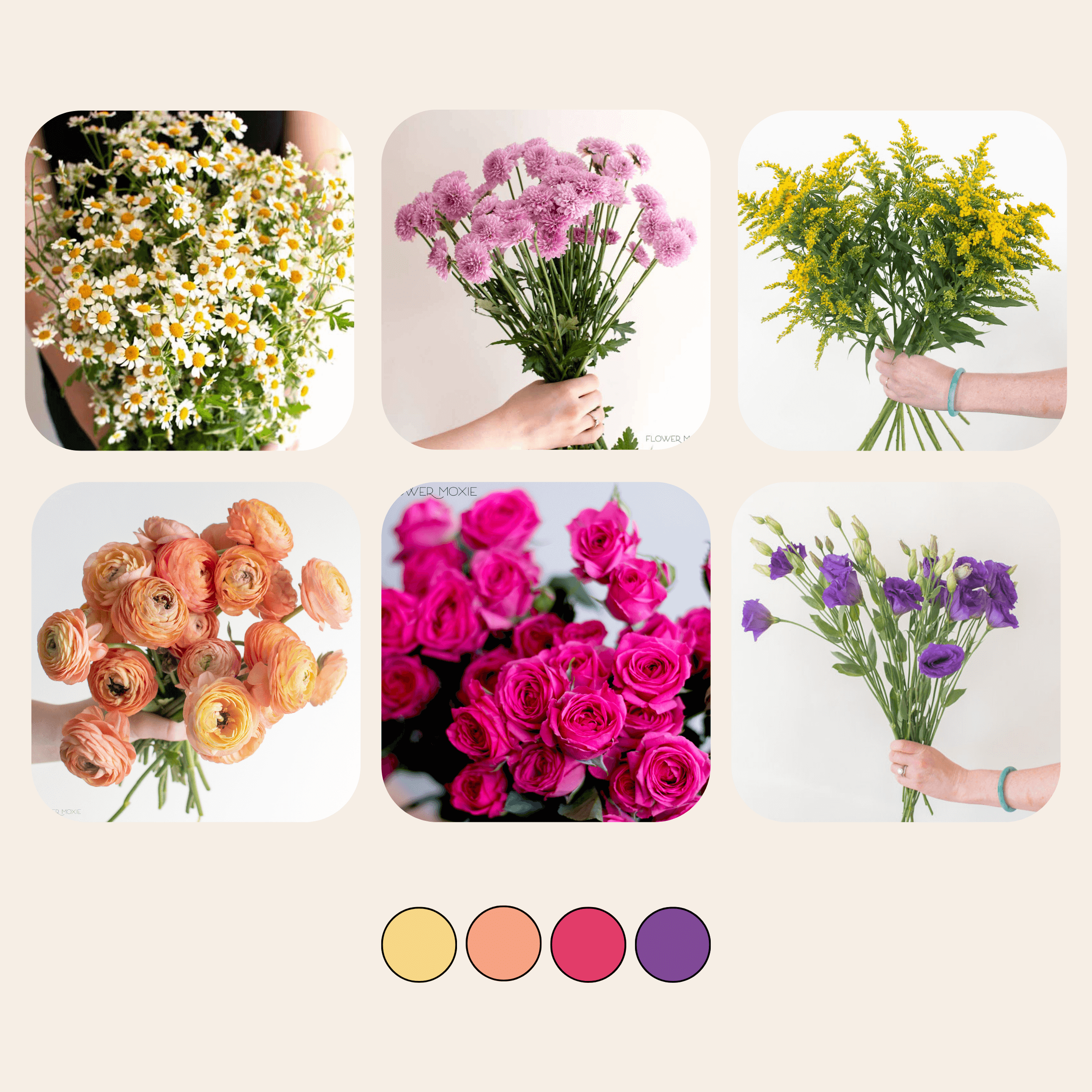 Wildflower Sample Box | Flower Moxie Bulk Flowers