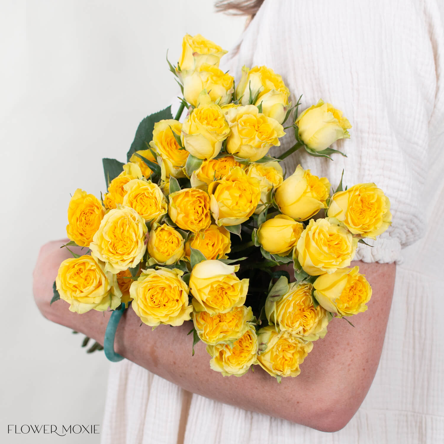 Yellow Fibonacci Spray Roses