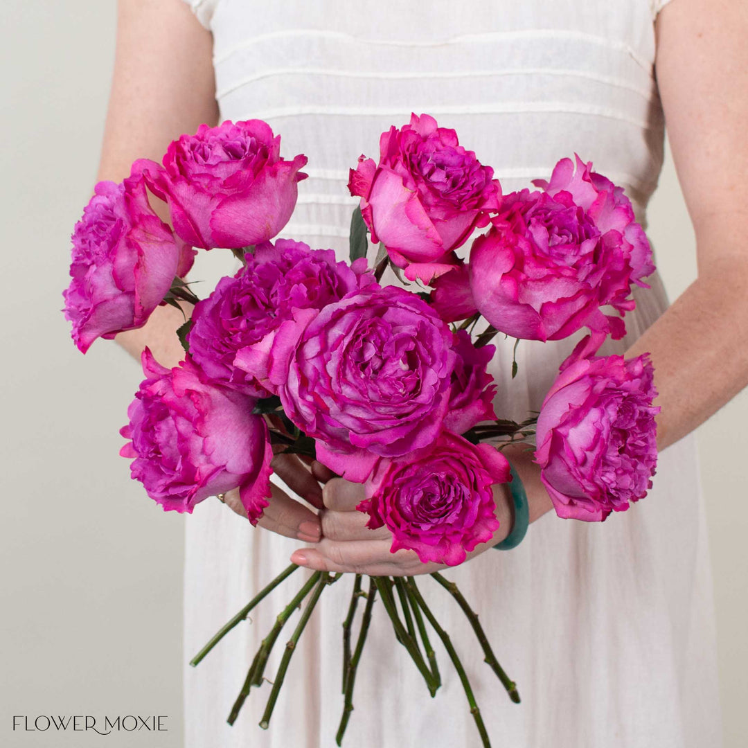 Pink Yves Piaget Garden Rose | DIY Flowers | Flower Moxie 12 Stems - per stem