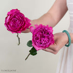 Pink Yves Piaget Garden Rose
