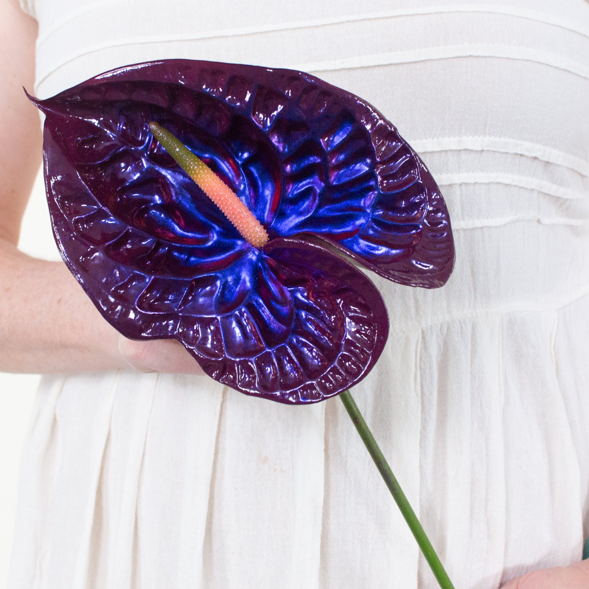 anthurium-jelly-haus-of-stems-