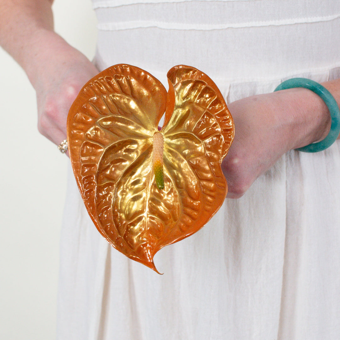 anthurium orange hot Sienna Iridescent Anthurium