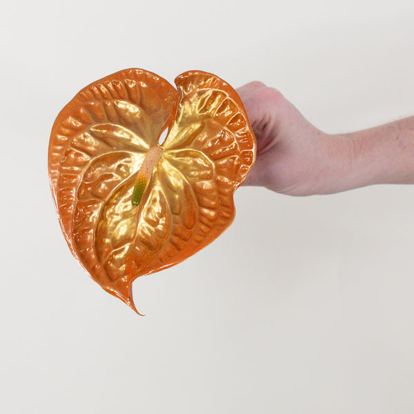 anthurium orange ovando Sienna Iridescent Anthurium