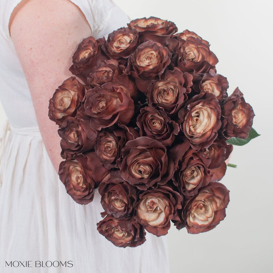 Novelty Roses – Flower Moxie