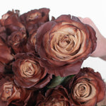 Painted and Dyed Truffle Novelty Rose