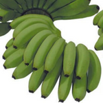 Green Mini Bananas