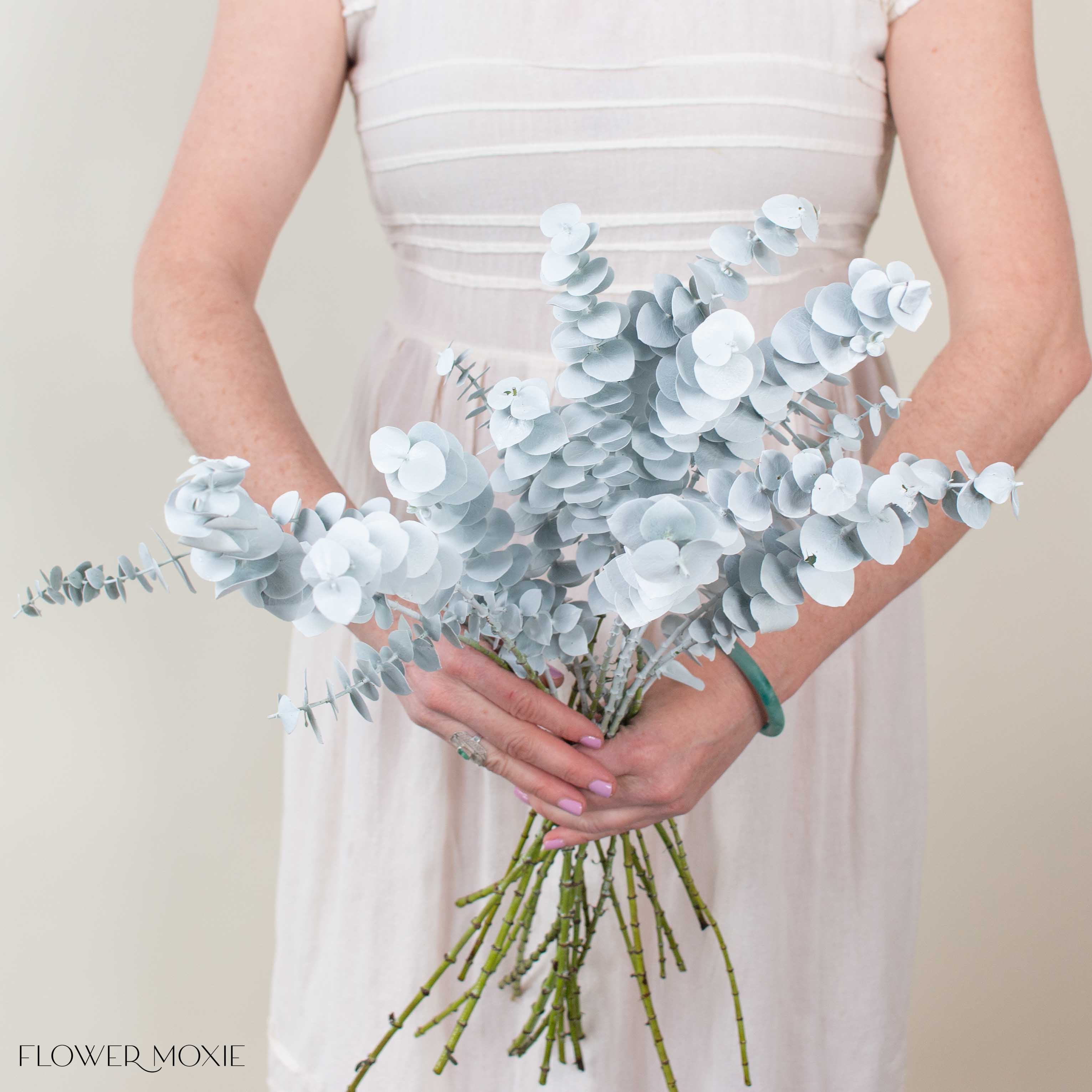 Bleached White Baby Eucalyptus Greenery