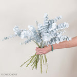 Bleached White Baby Eucalyptus Greenery