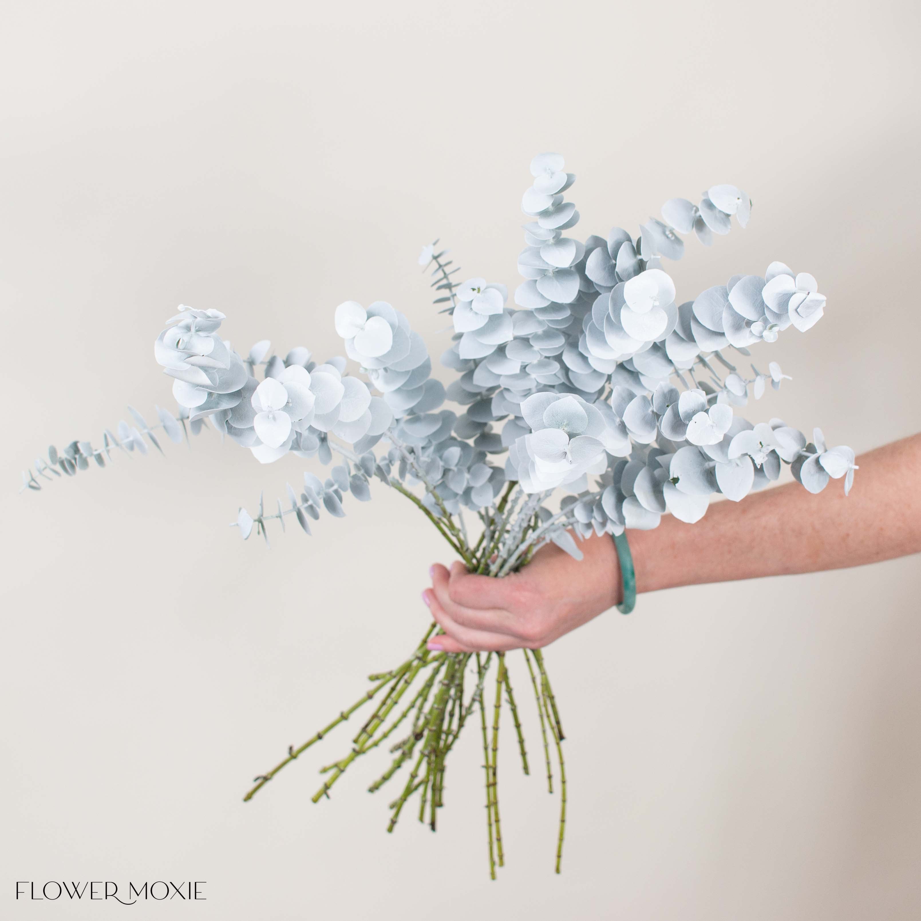 Bleached White Baby Eucalyptus Greenery