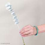 Bleached White Baby Eucalyptus Greenery