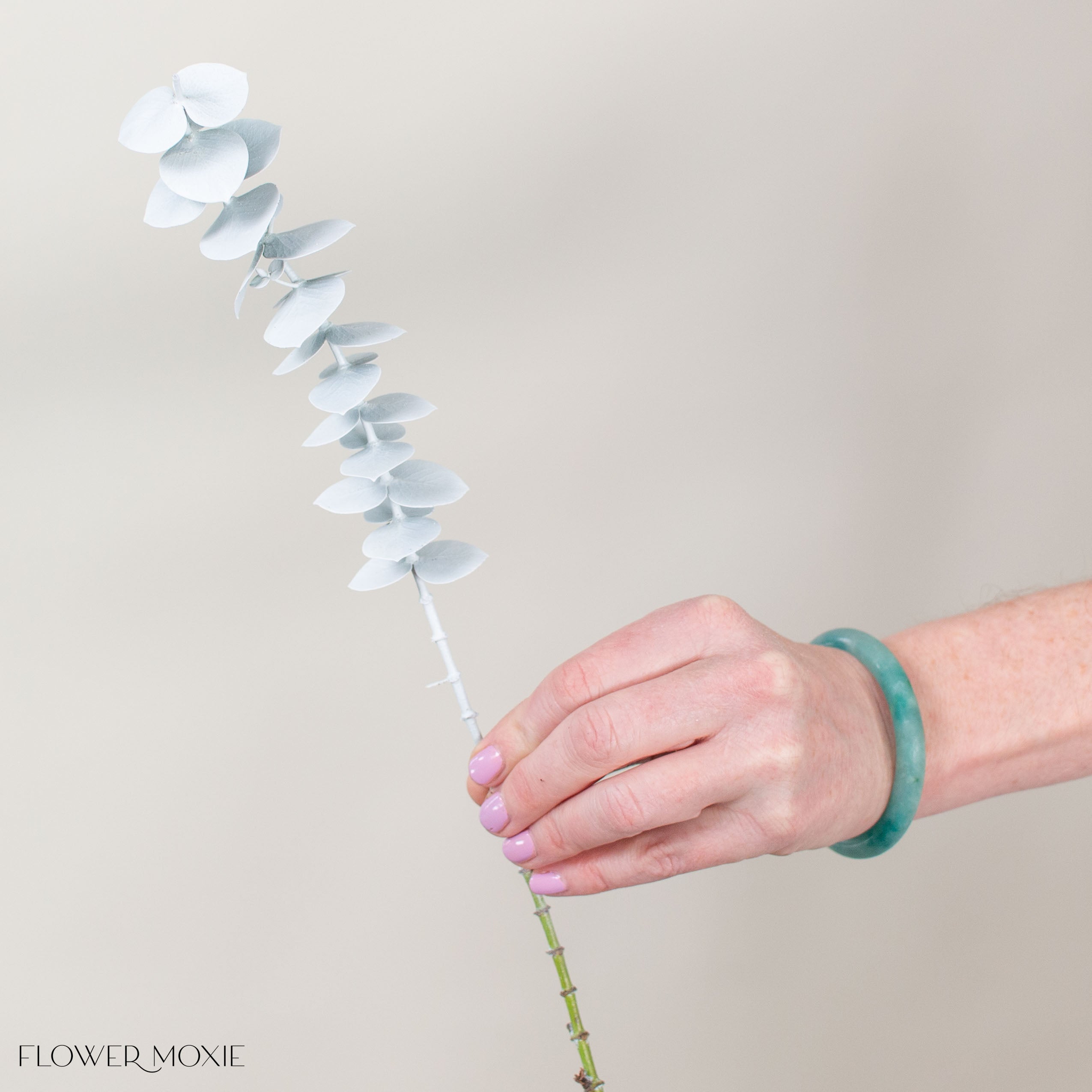 Bleached White Baby Eucalyptus Greenery