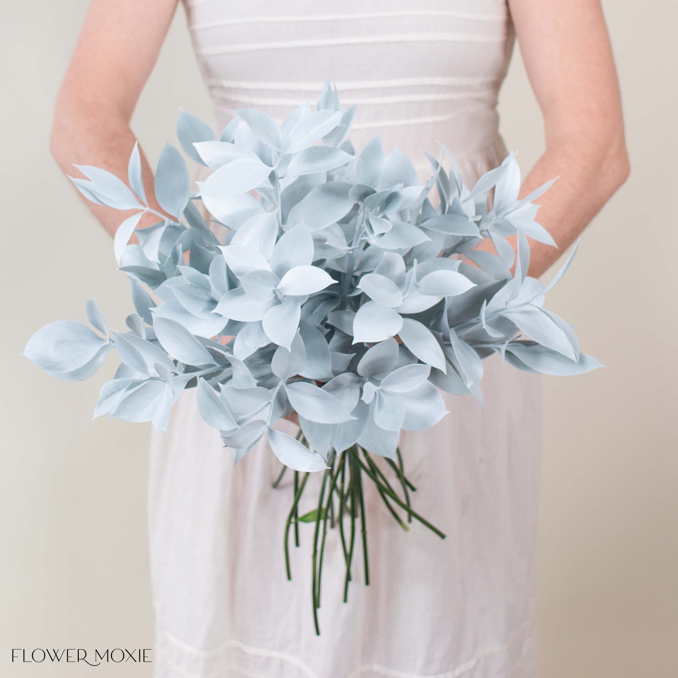 Bleached White Israeli Ruscus Greenery