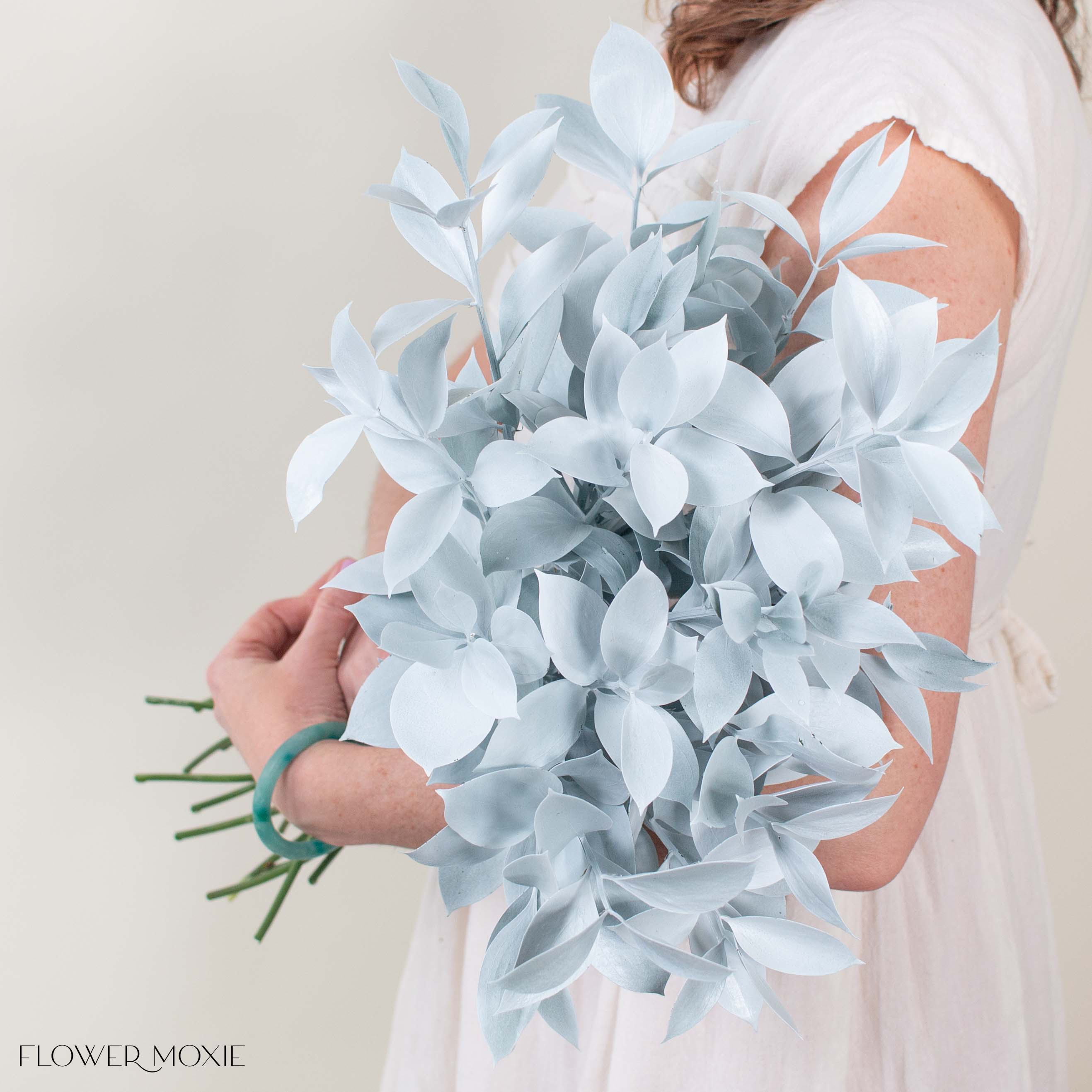 Bleached White Israeli Ruscus Greenery