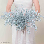Bleached White Parvifolia Eucalyptus Greenery