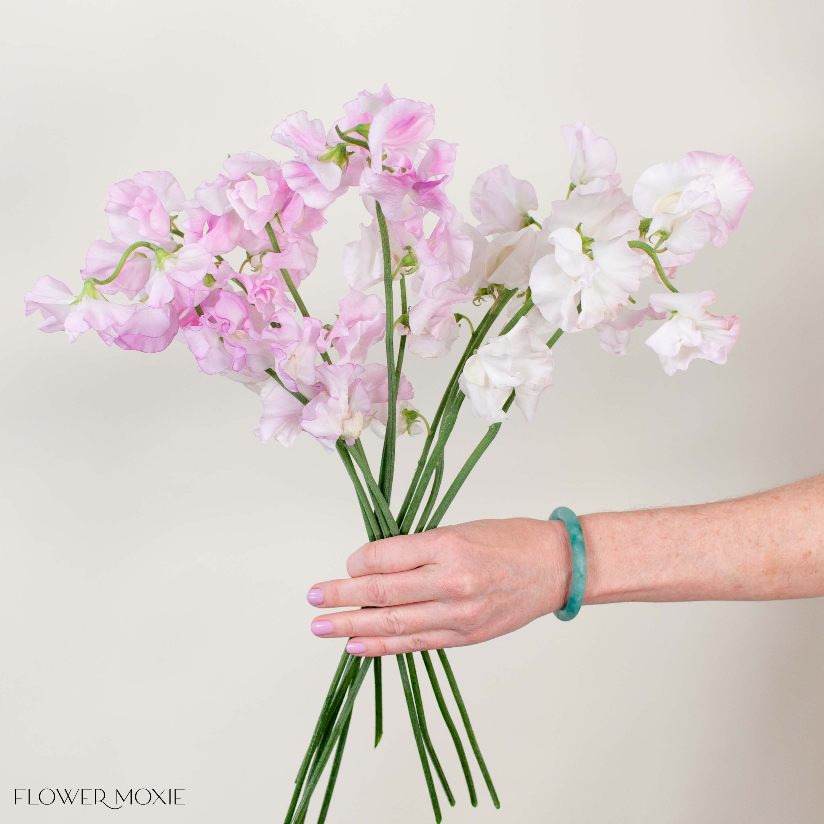 Blush Pink Sweet Pea Flower