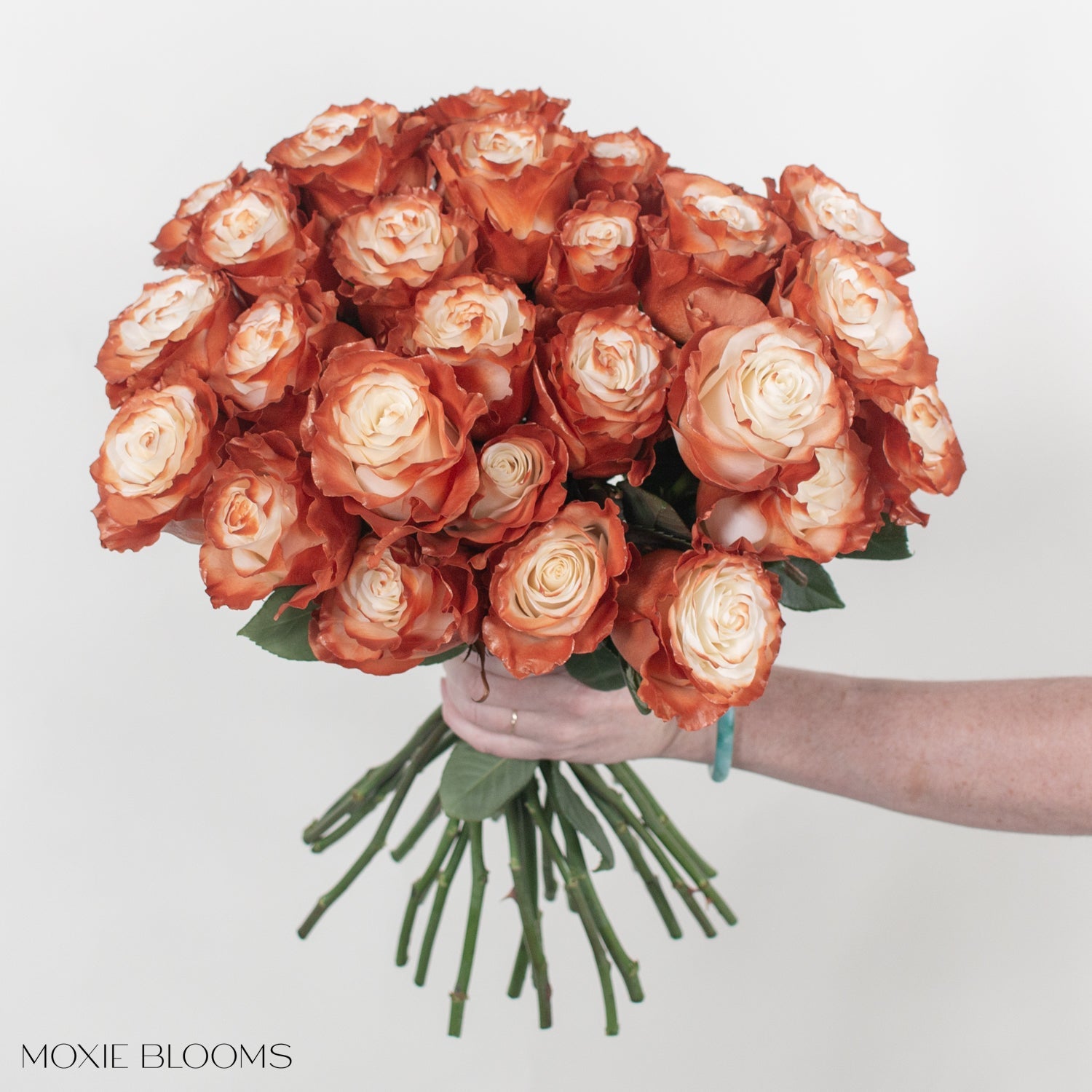 Our Honest Opinion about Painted and Dyed Roses – Flower Moxie