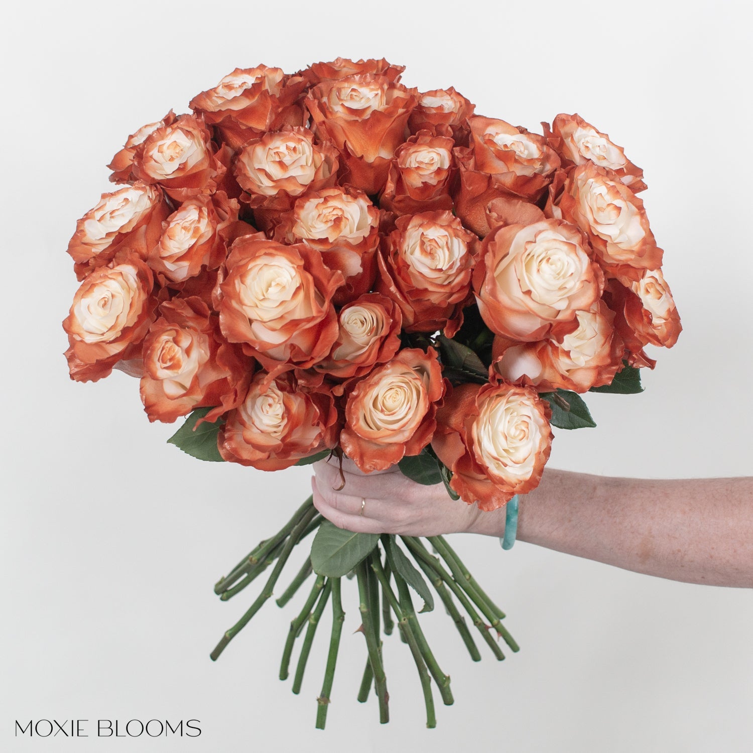 あひるOffen 【Reborn project】ROSE-pointed Novelty Roses | Flower Moxie | Roses for DIY Wedding
