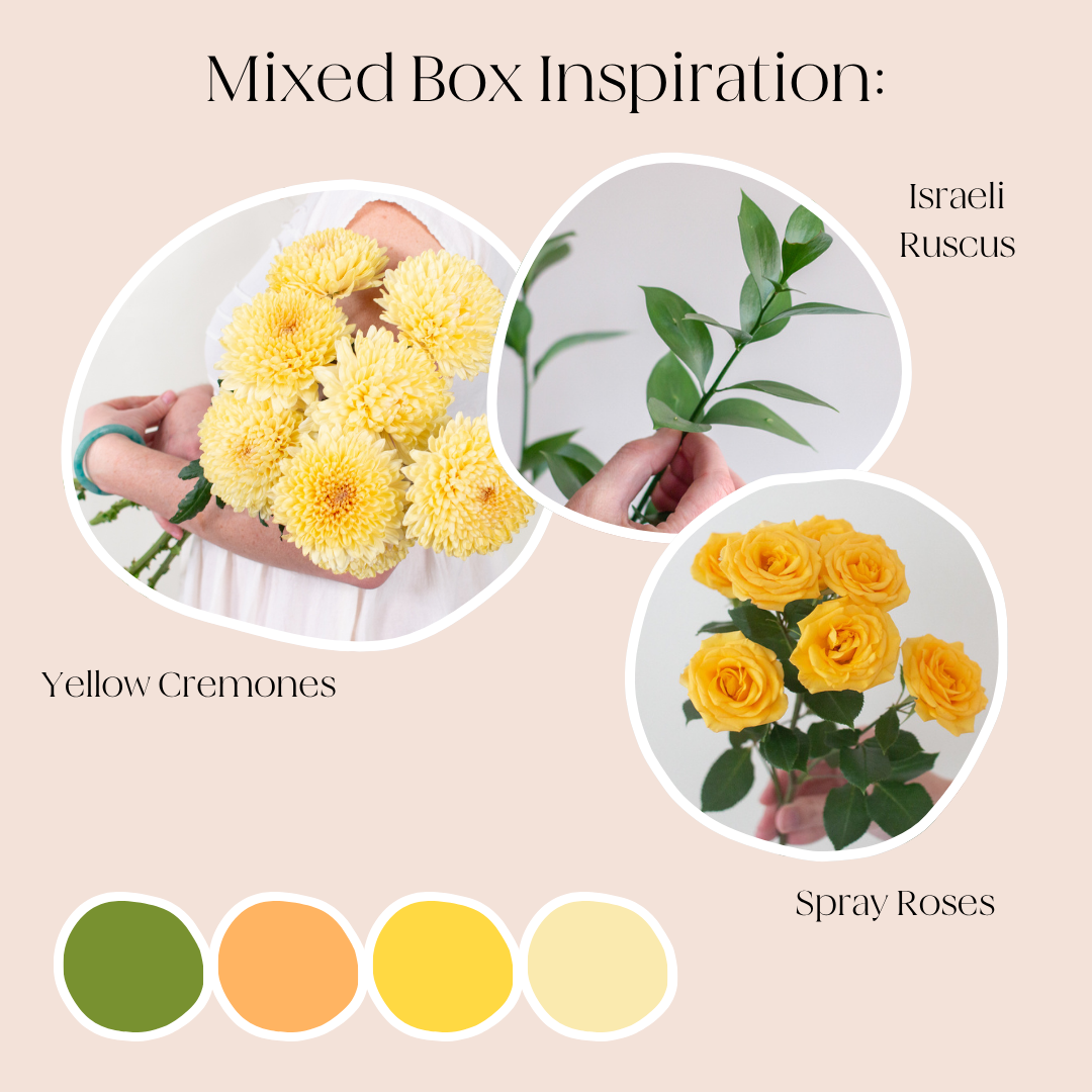 build your own garden box