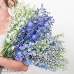 delphinium mixed box, wholesale flowers, wedding blue flowers