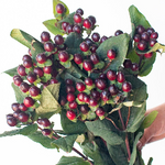 burgundy hyper 60b85b1b 113b 429a 8376 5bde10178cba