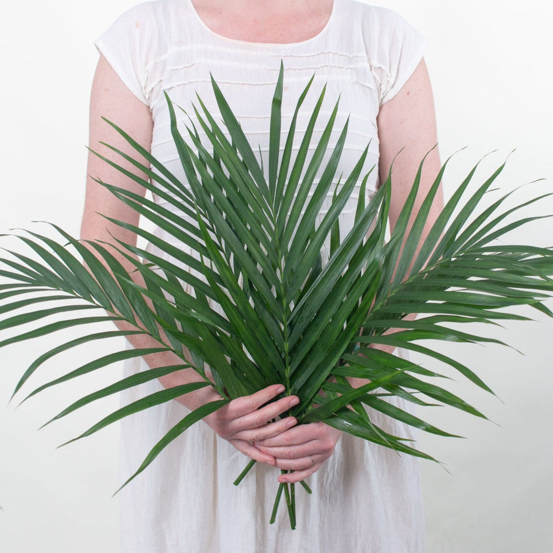 palm leaves plants Robellini Palm Greenery | DIY Wedding Flowers | Flower Moxie 150 stems