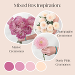 Build Your Own Cremone Mixed Box