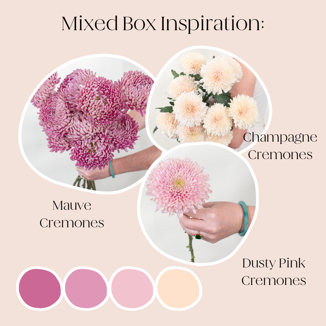 Build Your Own Cremone Mixed Box